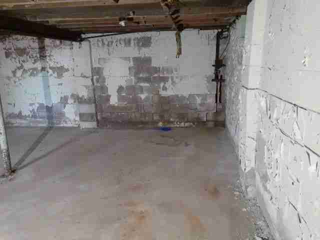 Testing again(43).jpg